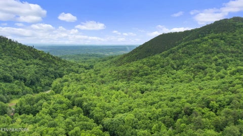 Tiny photo for 0 Carson Springs Rd, Newport, TN 37821 (MLS # 1354019)