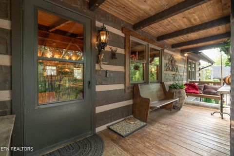 Tiny photo for 242 Lewis lane Lane, Blaine, TN 37709 (MLS # 1317875)
