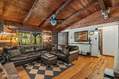 Tiny photo for 242 Lewis lane Lane, Blaine, TN 37709 (MLS # 1317875)