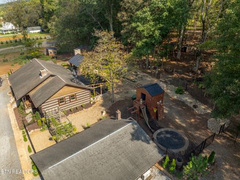 Tiny photo for 242 Lewis lane Lane, Blaine, TN 37709 (MLS # 1317875)