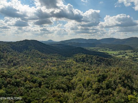 Tiny photo for 242 Lewis lane Lane, Blaine, TN 37709 (MLS # 1317875)