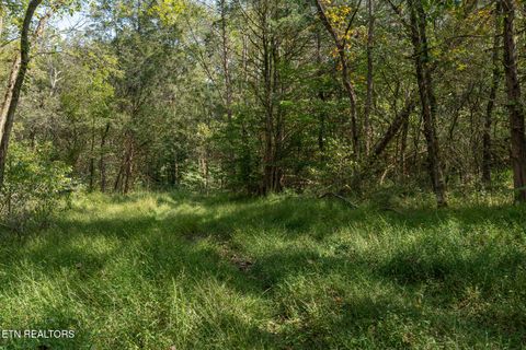 Tiny photo for 242 Lewis lane Lane, Blaine, TN 37709 (MLS # 1317875)