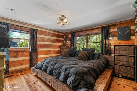 Tiny photo for 242 Lewis lane Lane, Blaine, TN 37709 (MLS # 1317875)