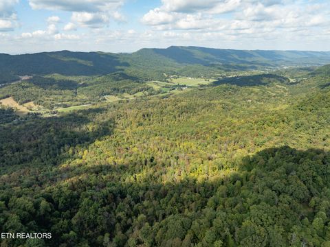 Tiny photo for 242 Lewis lane Lane, Blaine, TN 37709 (MLS # 1317875)