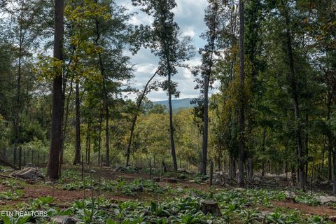 Tiny photo for 242 Lewis lane Lane, Blaine, TN 37709 (MLS # 1317875)