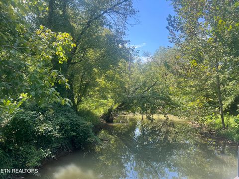 Tiny photo for 242 Lewis lane Lane, Blaine, TN 37709 (MLS # 1317875)