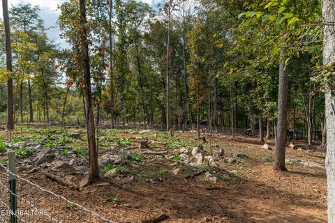 Tiny photo for 242 Lewis lane Lane, Blaine, TN 37709 (MLS # 1317875)