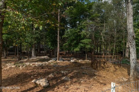 Tiny photo for 242 Lewis lane Lane, Blaine, TN 37709 (MLS # 1317875)