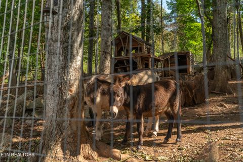 Tiny photo for 242 Lewis lane Lane, Blaine, TN 37709 (MLS # 1317875)