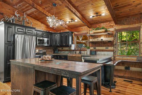 Tiny photo for 242 Lewis lane Lane, Blaine, TN 37709 (MLS # 1317875)