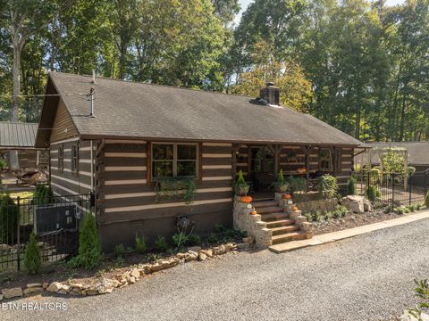 Tiny photo for 242 Lewis lane Lane, Blaine, TN 37709 (MLS # 1317875)