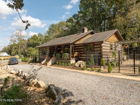 Tiny photo for 242 Lewis lane Lane, Blaine, TN 37709 (MLS # 1317875)