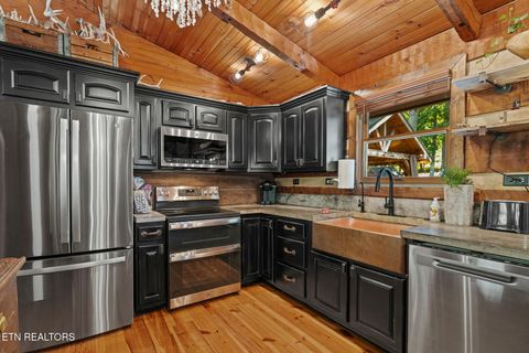 Tiny photo for 242 Lewis lane Lane, Blaine, TN 37709 (MLS # 1317875)