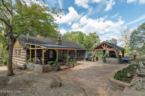 Tiny photo for 242 Lewis lane Lane, Blaine, TN 37709 (MLS # 1317875)