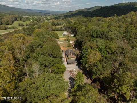 Tiny photo for 242 Lewis lane Lane, Blaine, TN 37709 (MLS # 1317875)