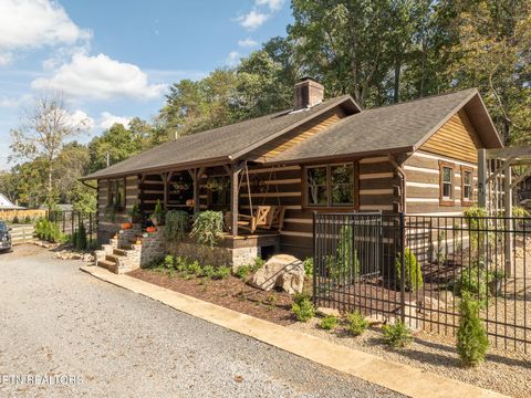 Tiny photo for 242 Lewis lane Lane, Blaine, TN 37709 (MLS # 1317875)