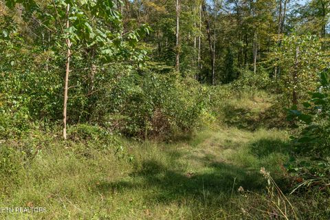 Tiny photo for 242 Lewis lane Lane, Blaine, TN 37709 (MLS # 1317875)
