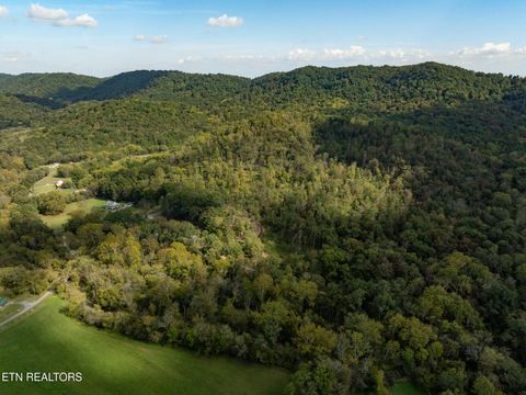 Tiny photo for 242 Lewis lane Lane, Blaine, TN 37709 (MLS # 1317875)