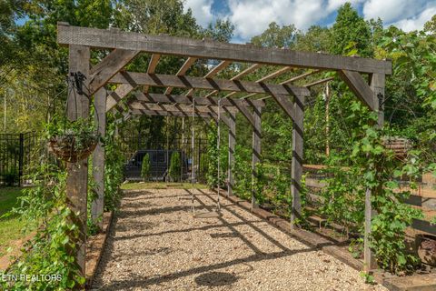 Tiny photo for 242 Lewis lane Lane, Blaine, TN 37709 (MLS # 1317875)
