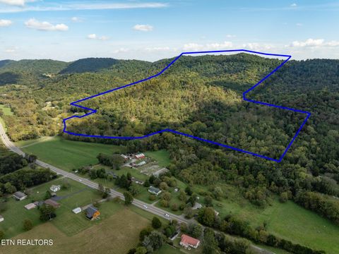 Tiny photo for 242 Lewis lane Lane, Blaine, TN 37709 (MLS # 1317875)