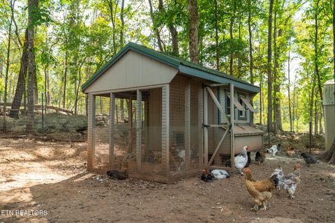 Tiny photo for 242 Lewis lane Lane, Blaine, TN 37709 (MLS # 1317875)