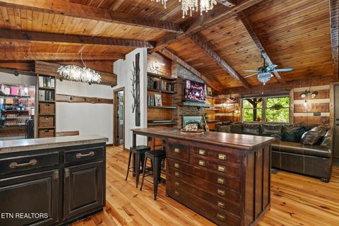 Tiny photo for 242 Lewis lane Lane, Blaine, TN 37709 (MLS # 1317875)