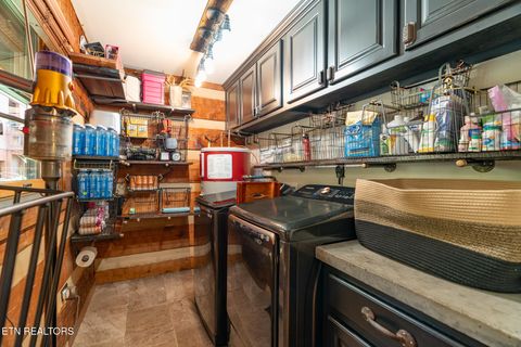 Tiny photo for 242 Lewis lane Lane, Blaine, TN 37709 (MLS # 1317875)
