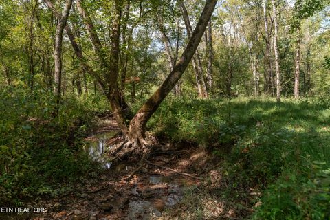Tiny photo for 242 Lewis lane Lane, Blaine, TN 37709 (MLS # 1317875)