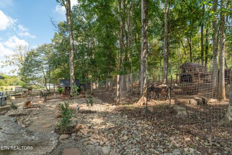 Tiny photo for 242 Lewis lane Lane, Blaine, TN 37709 (MLS # 1317875)