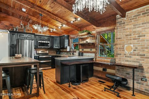 Tiny photo for 242 Lewis lane Lane, Blaine, TN 37709 (MLS # 1317875)
