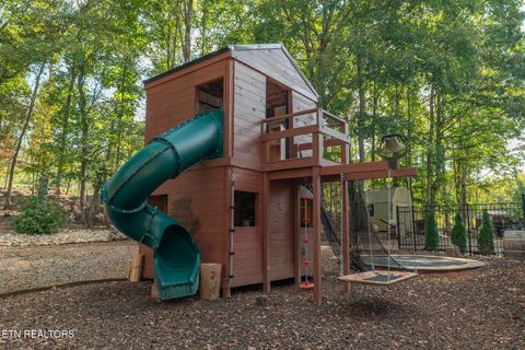 Tiny photo for 242 Lewis lane Lane, Blaine, TN 37709 (MLS # 1317875)