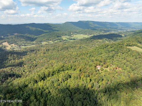 Tiny photo for 242 Lewis lane Lane, Blaine, TN 37709 (MLS # 1317875)