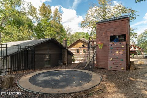 Tiny photo for 242 Lewis lane Lane, Blaine, TN 37709 (MLS # 1317875)