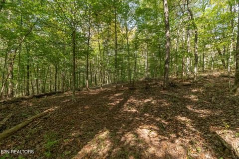 Tiny photo for 242 Lewis lane Lane, Blaine, TN 37709 (MLS # 1317875)