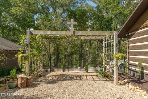 Tiny photo for 242 Lewis lane Lane, Blaine, TN 37709 (MLS # 1317875)