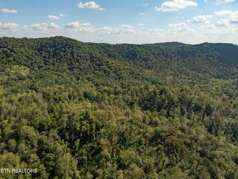 Tiny photo for 242 Lewis lane Lane, Blaine, TN 37709 (MLS # 1317875)