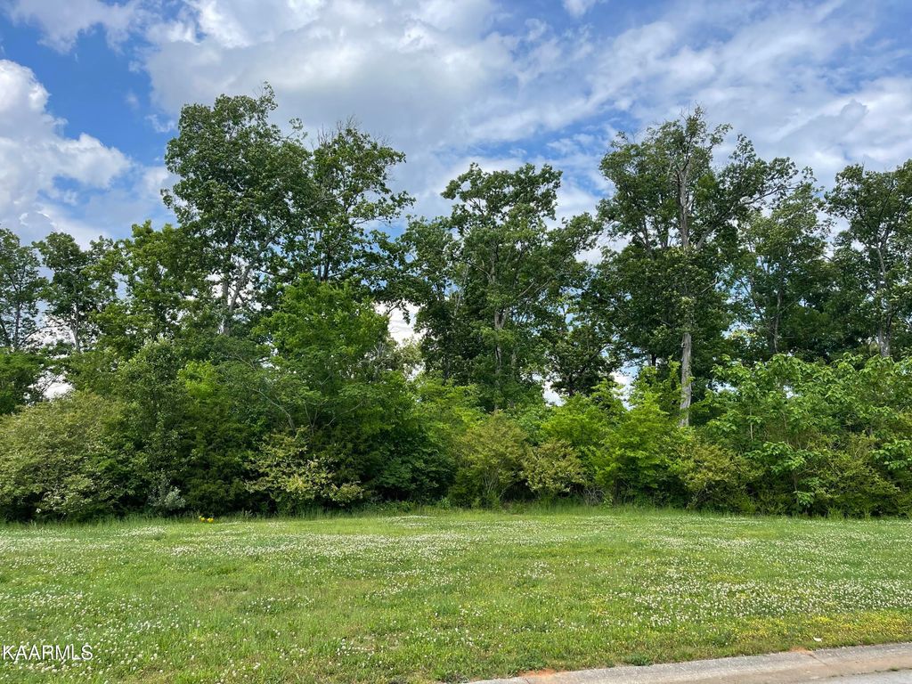 Photo of 3619 Lashbrooke Way, Louisville, TN 37777 (MLS # 1227546)