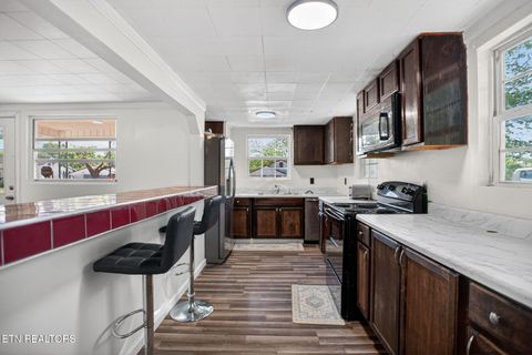 Tiny photo for 680 Musterfield Rd, Newport, TN 37821 (MLS # 1337040)