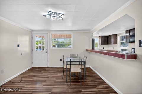 Tiny photo for 680 Musterfield Rd, Newport, TN 37821 (MLS # 1337040)