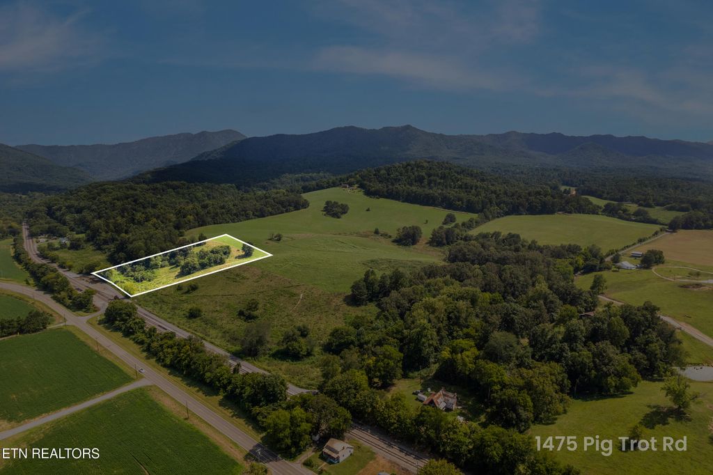 Photo of Lot 4 Pig Trot Rd, Newport, TN 37821 (MLS # 1312861)