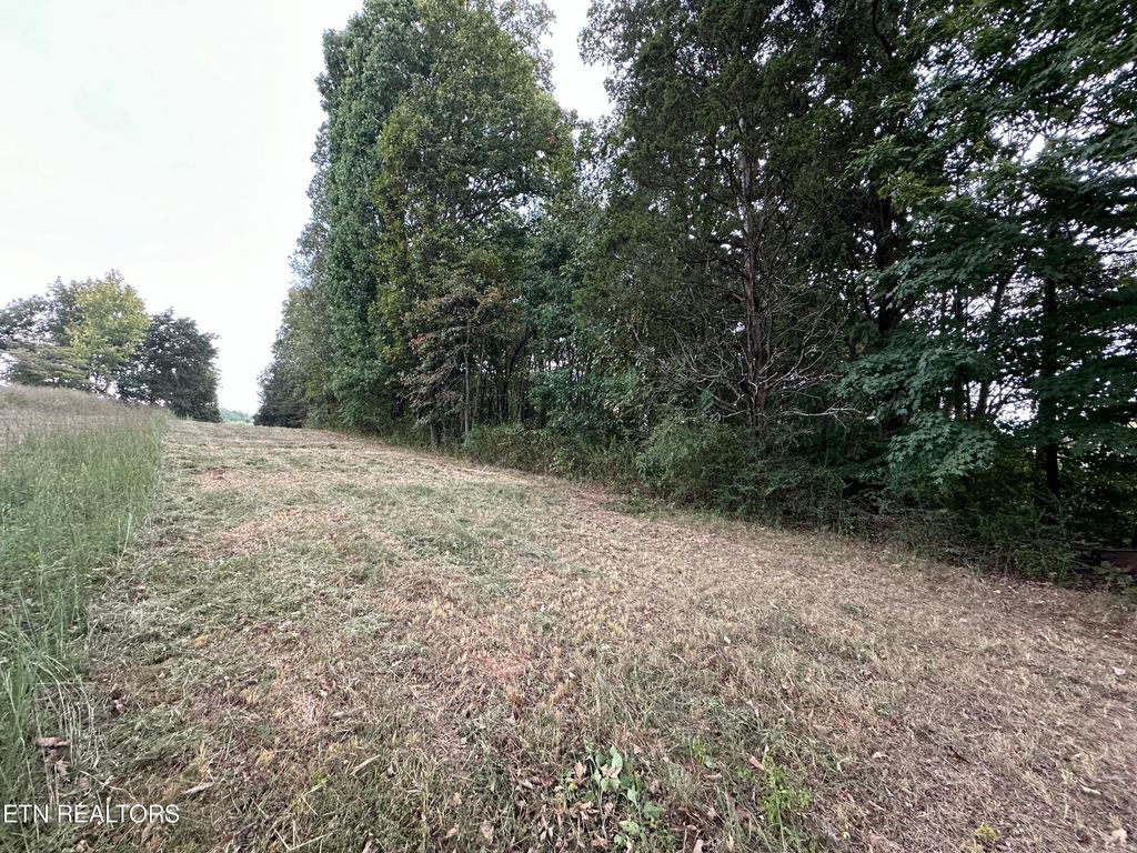Photo of 000 County Road 331, Sweetwater, TN 37874 (MLS # 1277687)