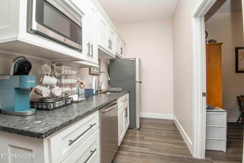 Tiny photo for 721 Lakeside Coves Way, Ten Mile, TN 37880 (MLS # 1341624)