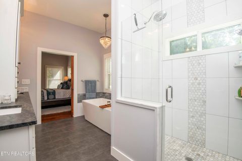 Tiny photo for 721 Lakeside Coves Way, Ten Mile, TN 37880 (MLS # 1341624)
