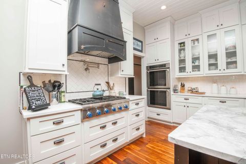 Tiny photo for 721 Lakeside Coves Way, Ten Mile, TN 37880 (MLS # 1341624)