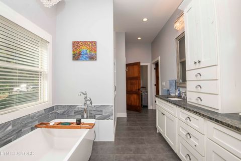 Tiny photo for 721 Lakeside Coves Way, Ten Mile, TN 37880 (MLS # 1341624)