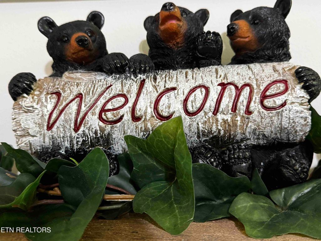 Photo of 653 Oaks View Court, Pigeon Forge, TN 37863 (MLS # 1299521)