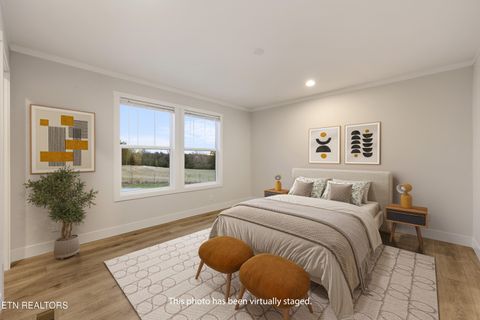 Tiny photo for 301 County Road 334, Niota, TN 37826 (MLS # 1334027)