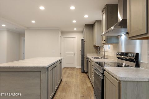 Tiny photo for 301 County Road 334, Niota, TN 37826 (MLS # 1334027)