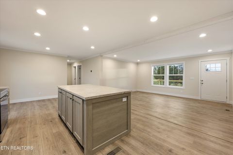 Tiny photo for 301 County Road 334, Niota, TN 37826 (MLS # 1334027)