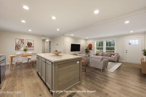 Tiny photo for 301 County Road 334, Niota, TN 37826 (MLS # 1334027)